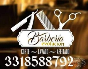 Barber Evolución